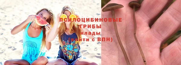 гашиш Белокуриха