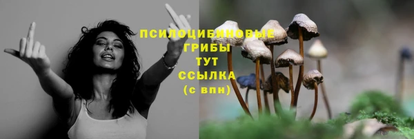 прущий лед Беломорск